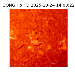 gong - 2025-10-24T14:00:22