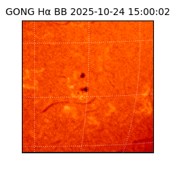 gong - 2025-10-24T15:00:02