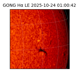 gong - 2025-10-24T01:00:42