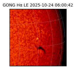 gong - 2025-10-24T06:00:42