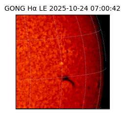 gong - 2025-10-24T07:00:42