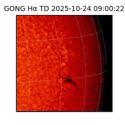 gong - 2025-10-24T09:00:22