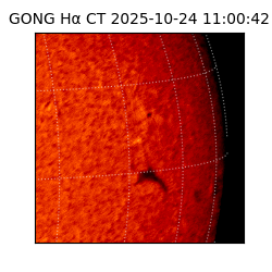 gong - 2025-10-24T11:00:42