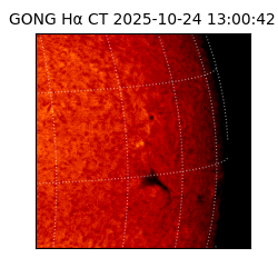 gong - 2025-10-24T13:00:42