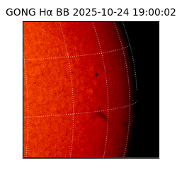 gong - 2025-10-24T19:00:02