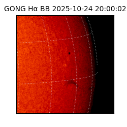 gong - 2025-10-24T20:00:02