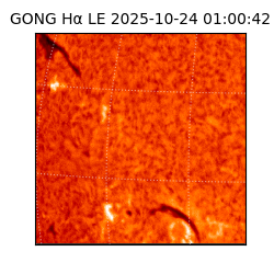 gong - 2025-10-24T01:00:42