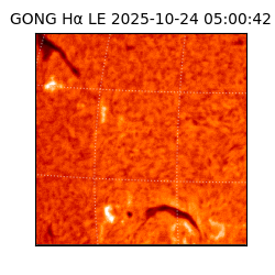 gong - 2025-10-24T05:00:42