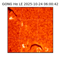 gong - 2025-10-24T06:00:42
