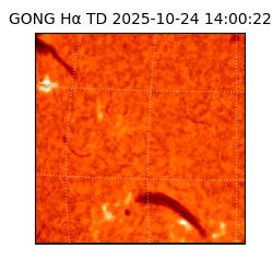 gong - 2025-10-24T14:00:22