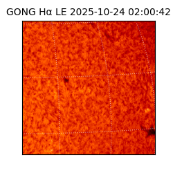 gong - 2025-10-24T02:00:42