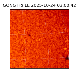 gong - 2025-10-24T03:00:42