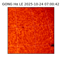 gong - 2025-10-24T07:00:42