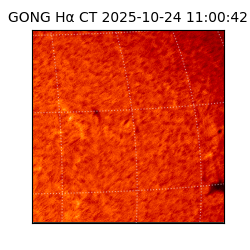 gong - 2025-10-24T11:00:42