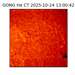 gong - 2025-10-24T13:00:42