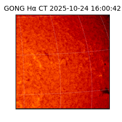 gong - 2025-10-24T16:00:42