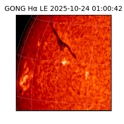 gong - 2025-10-24T01:00:42