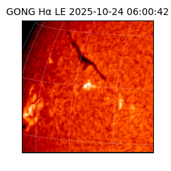 gong - 2025-10-24T06:00:42