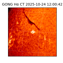 gong - 2025-10-24T12:00:42