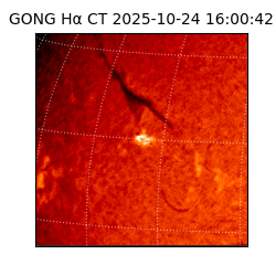 gong - 2025-10-24T16:00:42