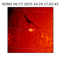 gong - 2025-10-24T17:02:42