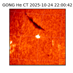 gong - 2025-10-24T22:00:42