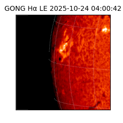 gong - 2025-10-24T04:00:42