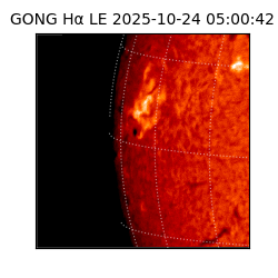 gong - 2025-10-24T05:00:42