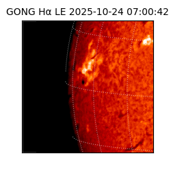 gong - 2025-10-24T07:00:42