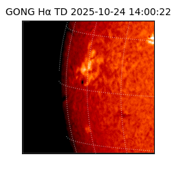gong - 2025-10-24T14:00:22