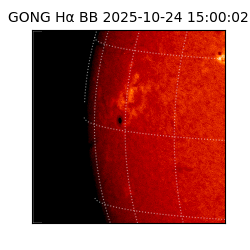 gong - 2025-10-24T15:00:02