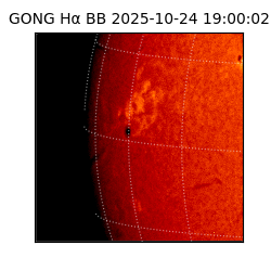 gong - 2025-10-24T19:00:02