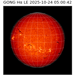 gong - 2025-10-24T05:00:42