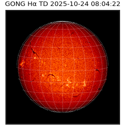 gong - 2025-10-24T08:04:22