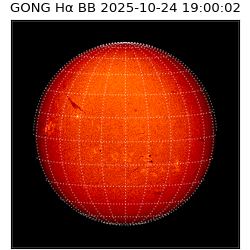 gong - 2025-10-24T19:00:02