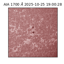 saia - 2025-10-25T19:00:28.720000