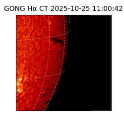 gong - 2025-10-25T11:00:42