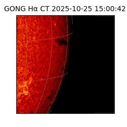 gong - 2025-10-25T15:00:42
