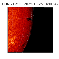 gong - 2025-10-25T16:00:42