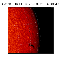 gong - 2025-10-25T04:00:42