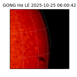 gong - 2025-10-25T06:00:42