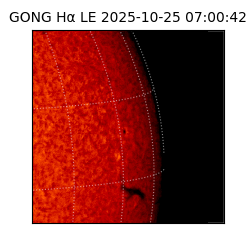 gong - 2025-10-25T07:00:42