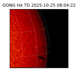 gong - 2025-10-25T08:04:22