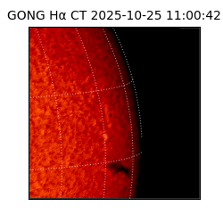 gong - 2025-10-25T11:00:42
