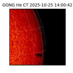 gong - 2025-10-25T14:00:42