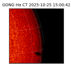 gong - 2025-10-25T15:00:42