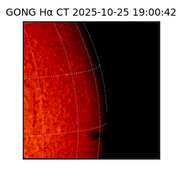 gong - 2025-10-25T19:00:42