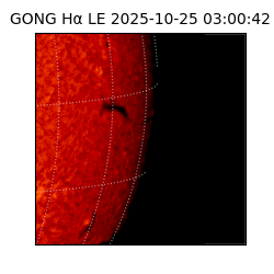 gong - 2025-10-25T03:00:42