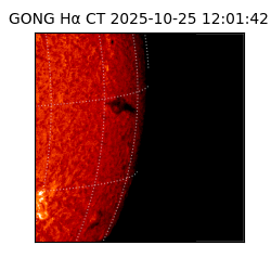 gong - 2025-10-25T12:01:42