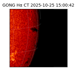 gong - 2025-10-25T15:00:42
